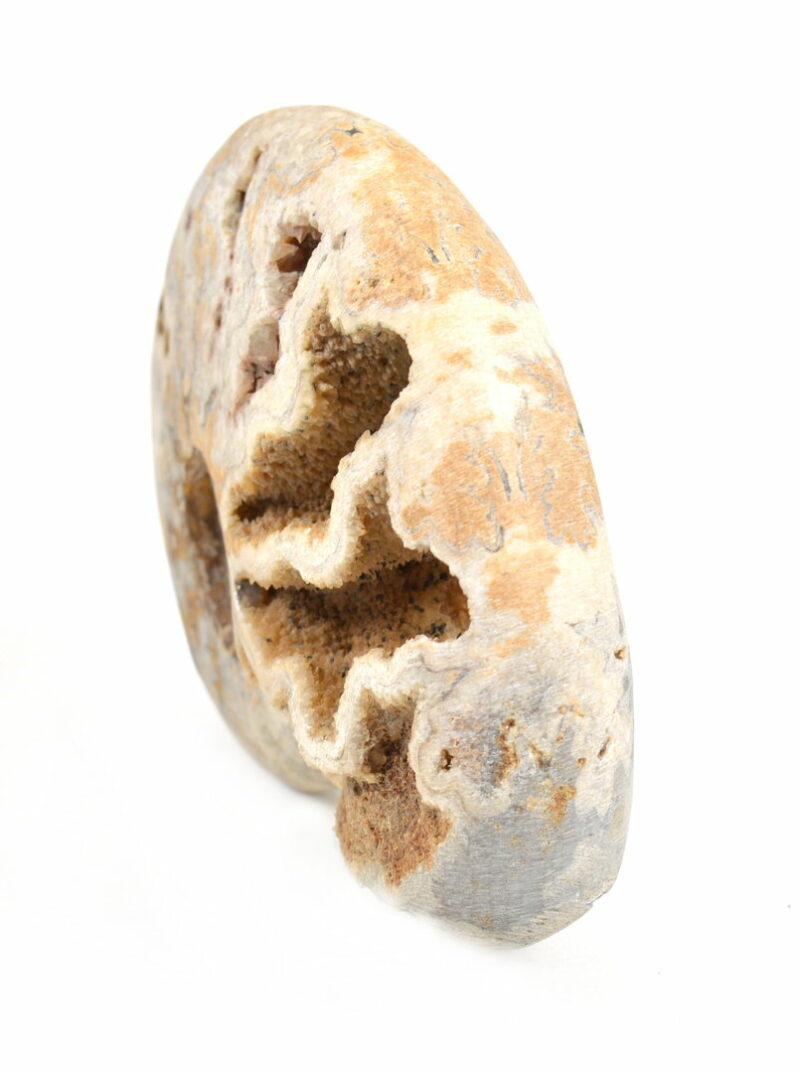 Ammonite Naturale. Soprammobile, Idea Regalo - immagine 3