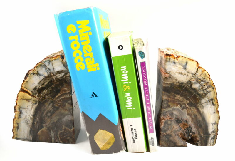 Fermalibri in Legno Fossile. Soprammobile. Idea Regalo