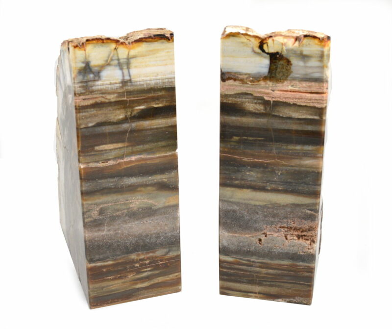 Fermalibri in Legno Fossile. Soprammobile. Idea Regalo - immagine 3