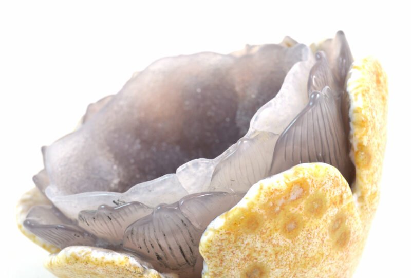 Geode in Agata a forma di Fiore. Soprammobile, Idea Regalo - immagine 6