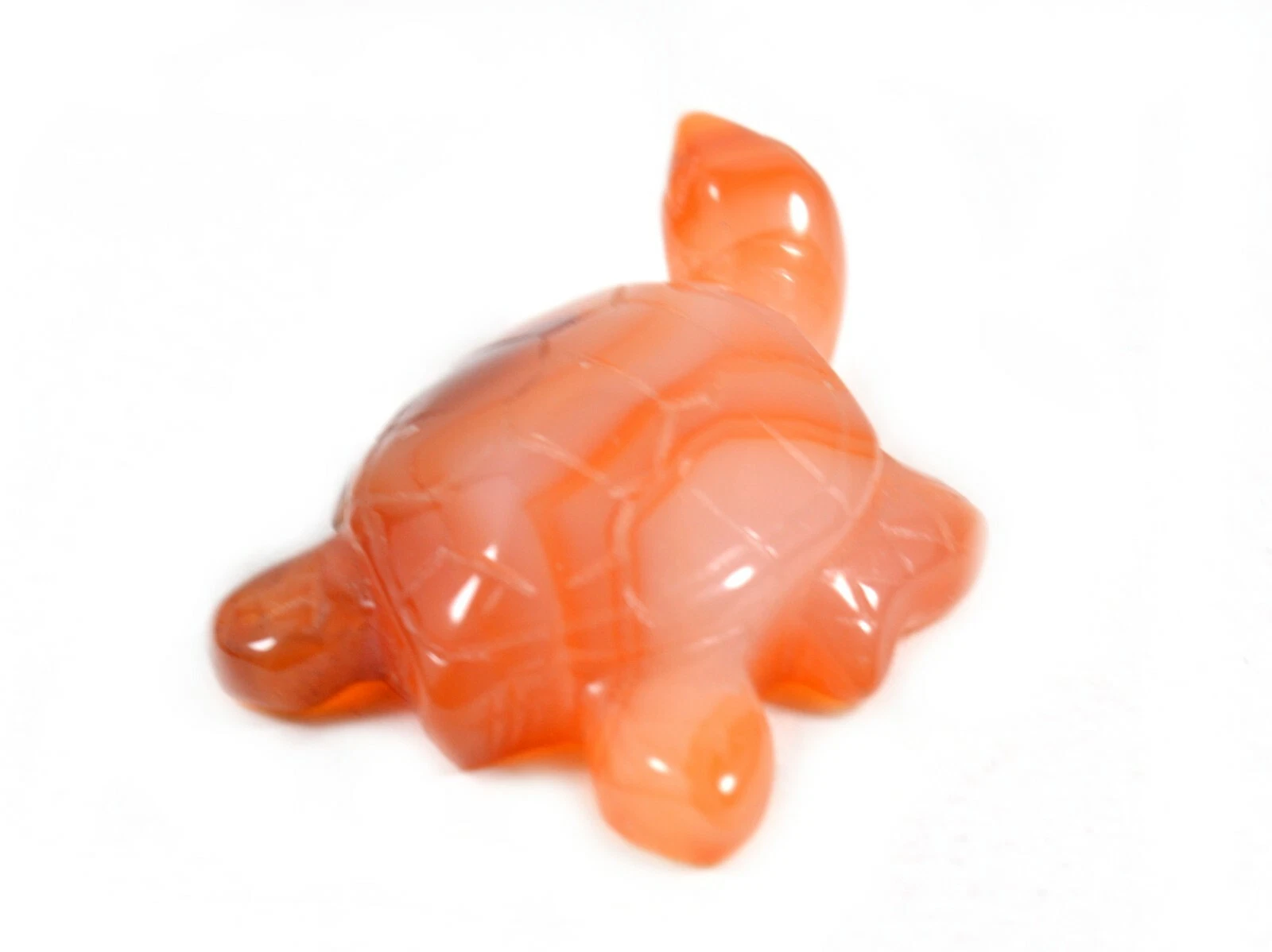 Tartaruga Marina in Corniola. Soprammobile, Idea Regalo - immagine 2